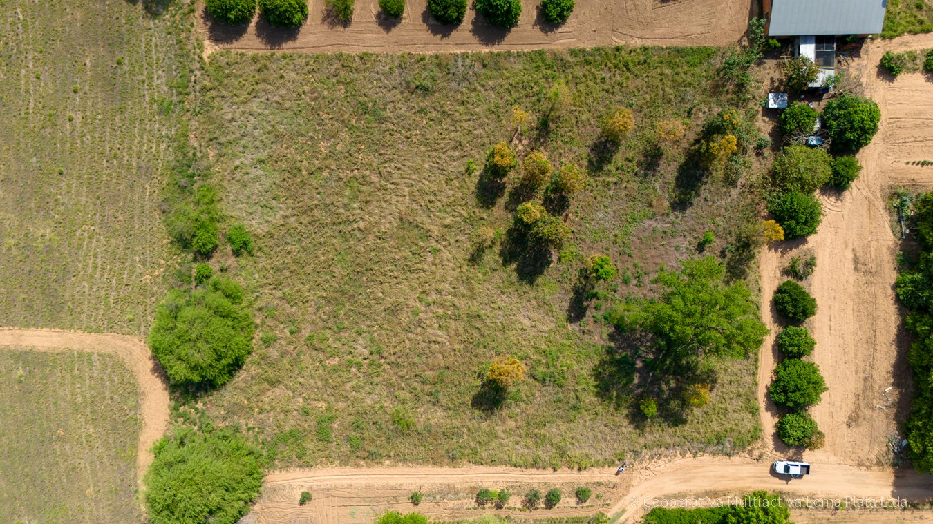 Lote en Osterwick - 2