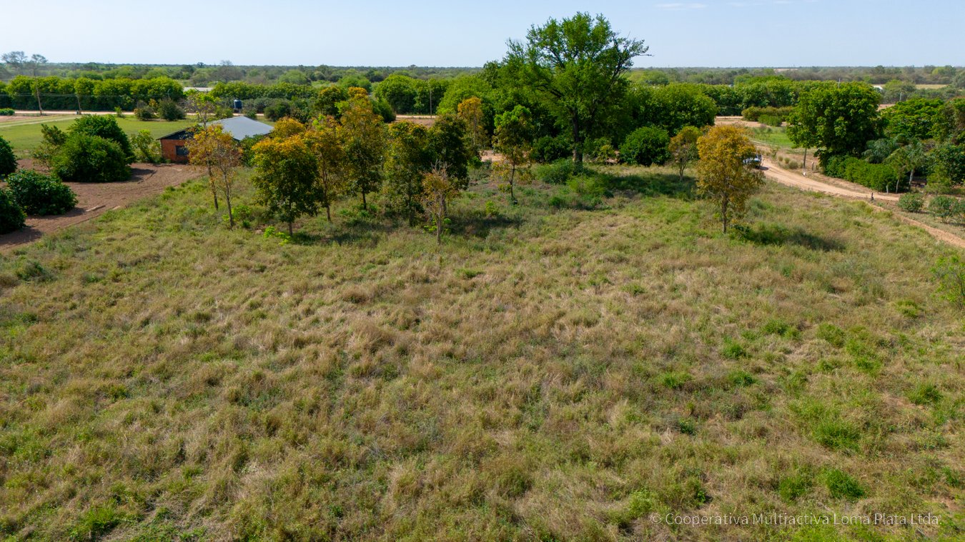 Lote en Osterwick - 4