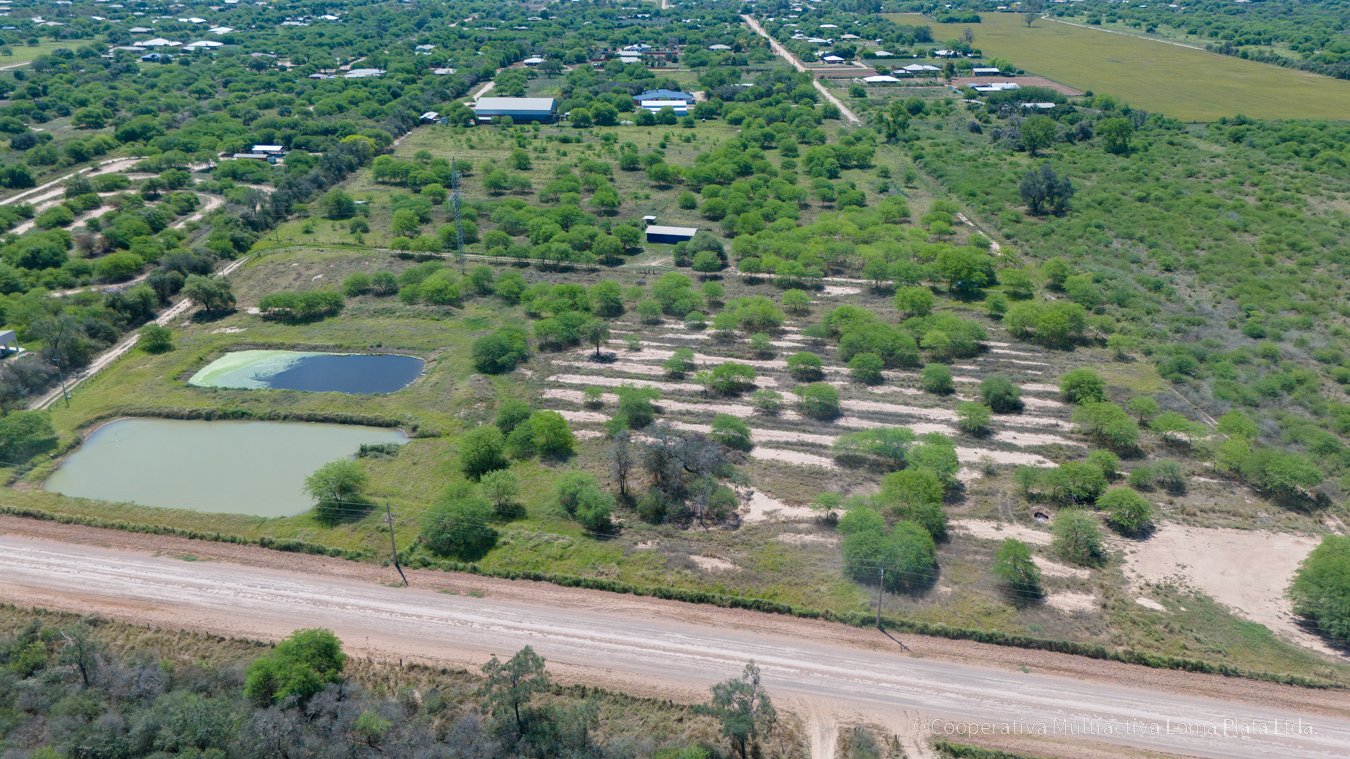 Lote en Bergfeld - 3