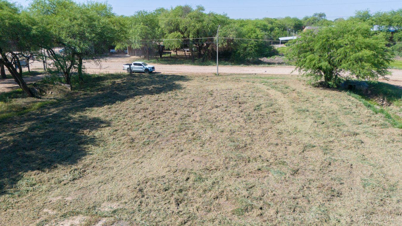 Lote Comercial en Loma Plata - 3