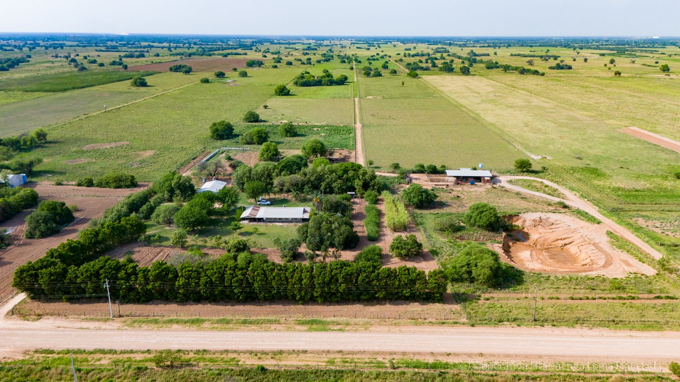 Campo en Strassberg - 2