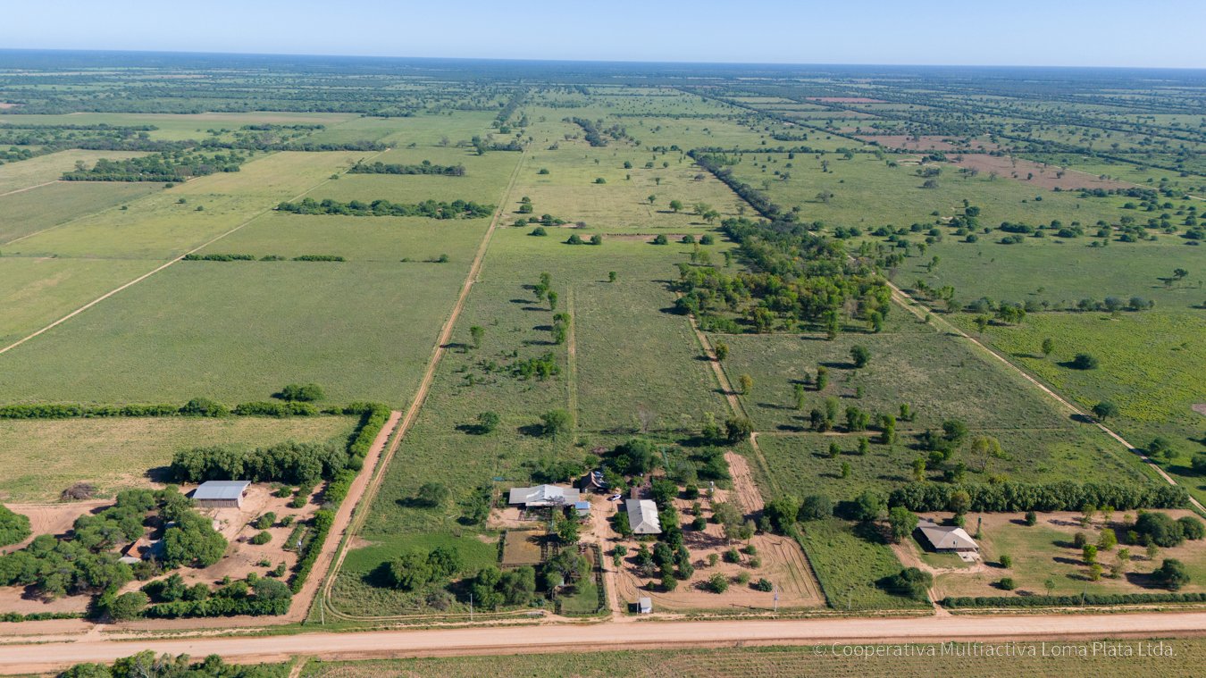 Campo en Schonhorst  - 3