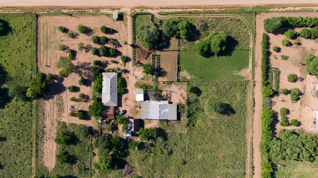 Campo en Schonhorst  - 2