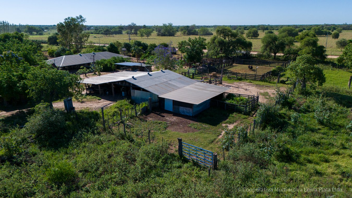 Campo en Schonhorst  - 4