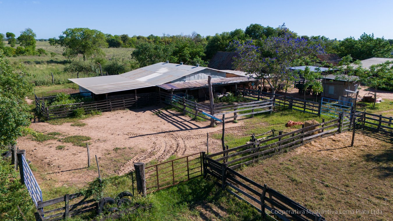 Campo en Schonhorst  - 5