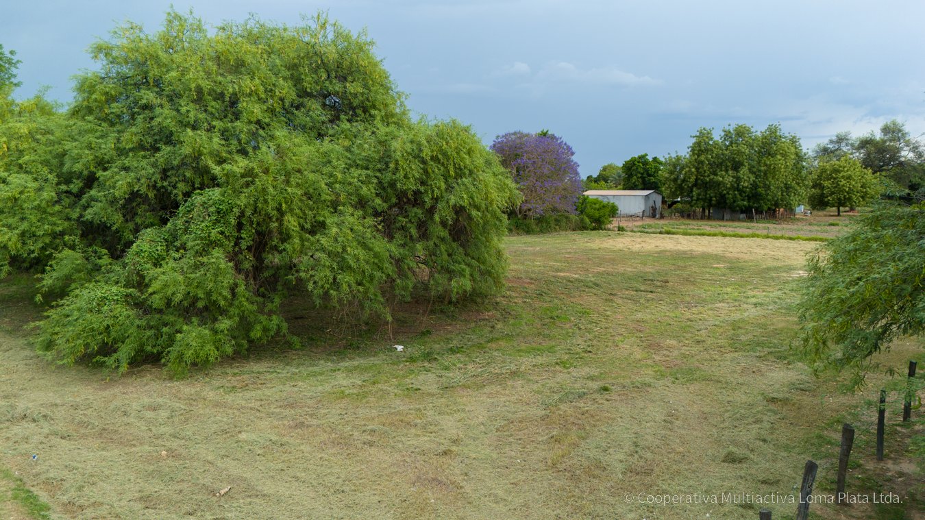 Lote en Loma Plata - 2