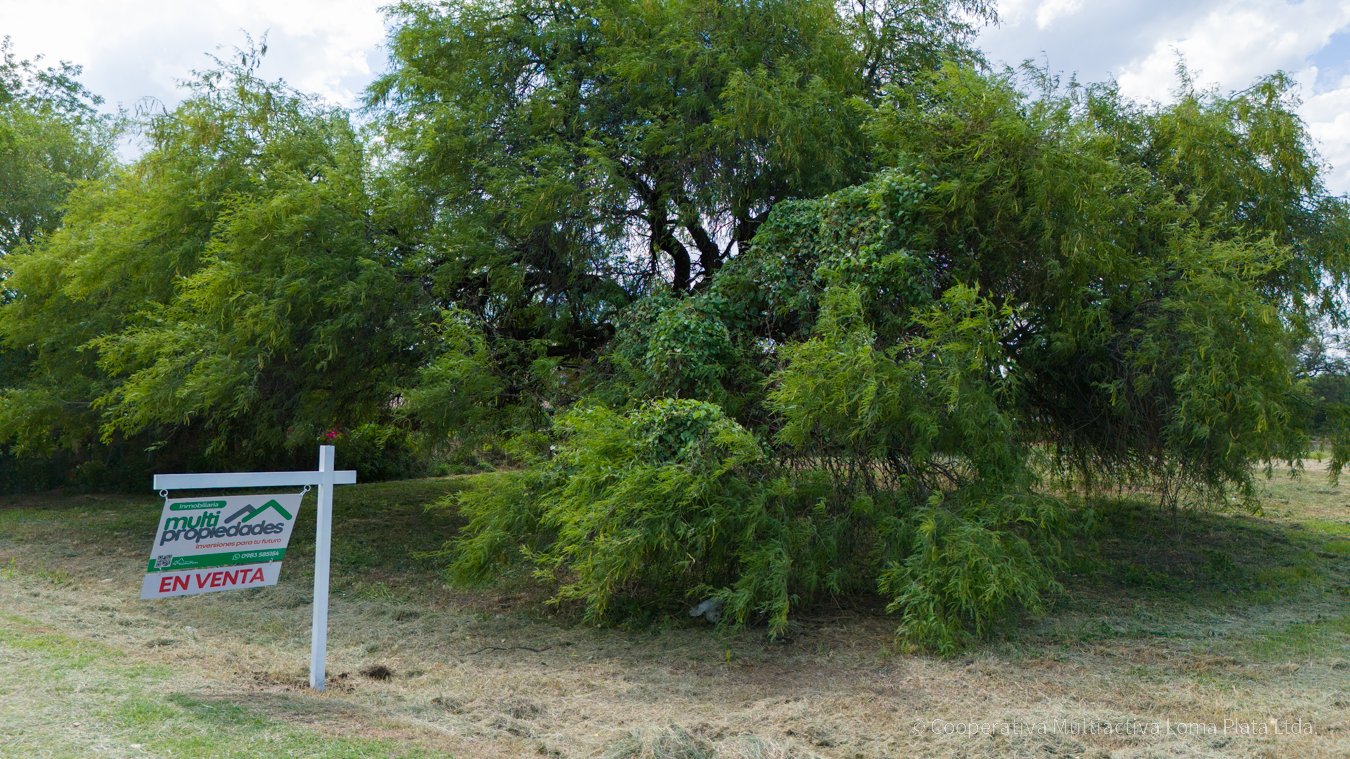 Lote en Loma Plata - 4