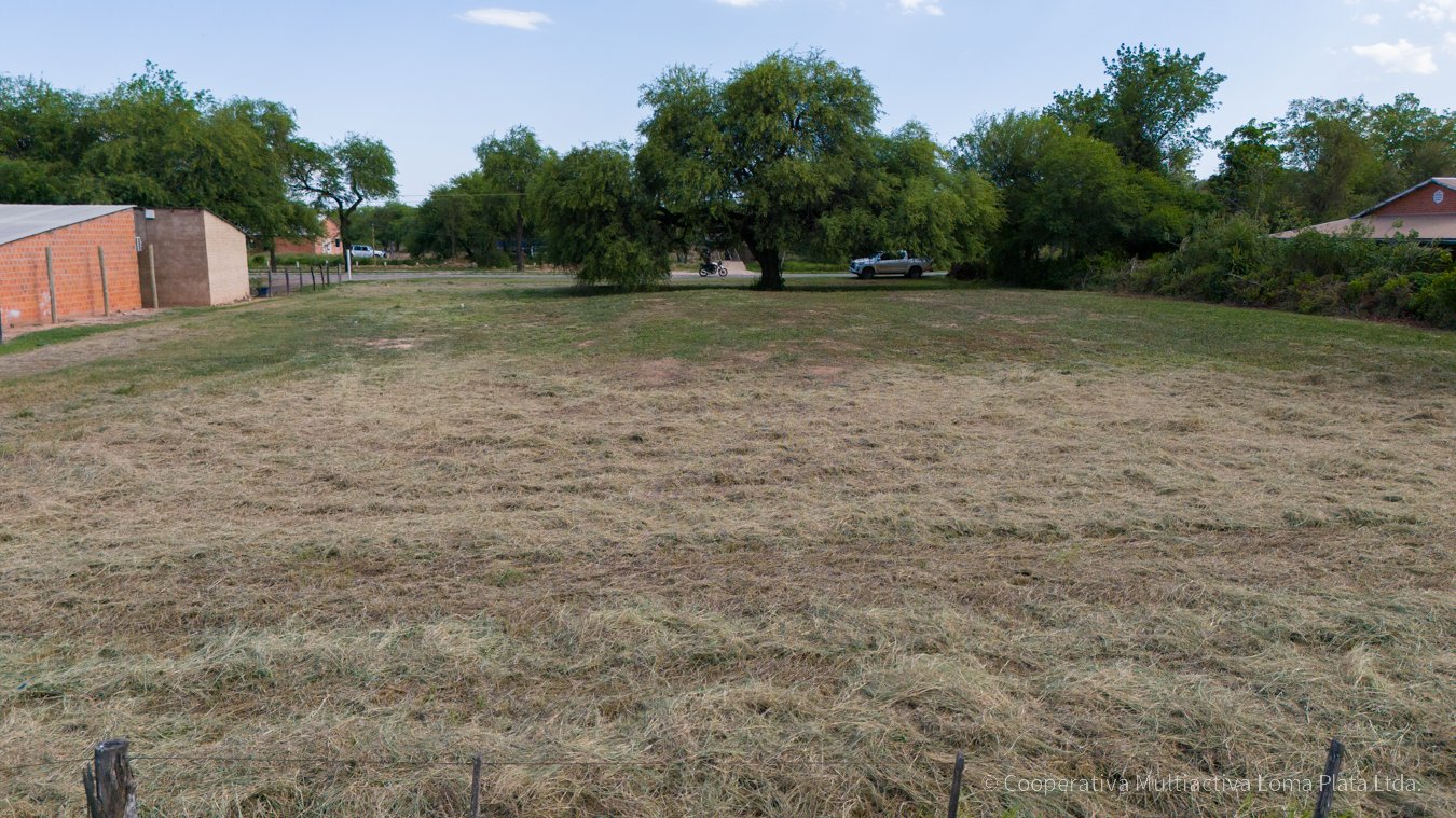 Lote en Loma Plata - 3