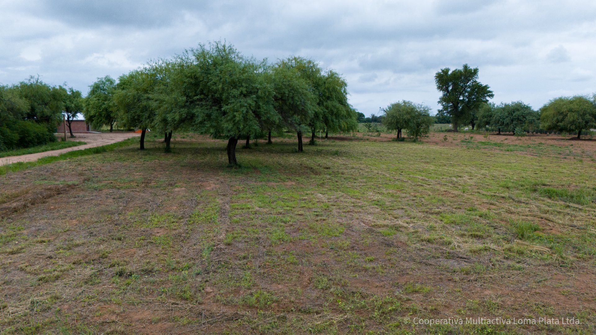 Lote en Bergfeld - 2