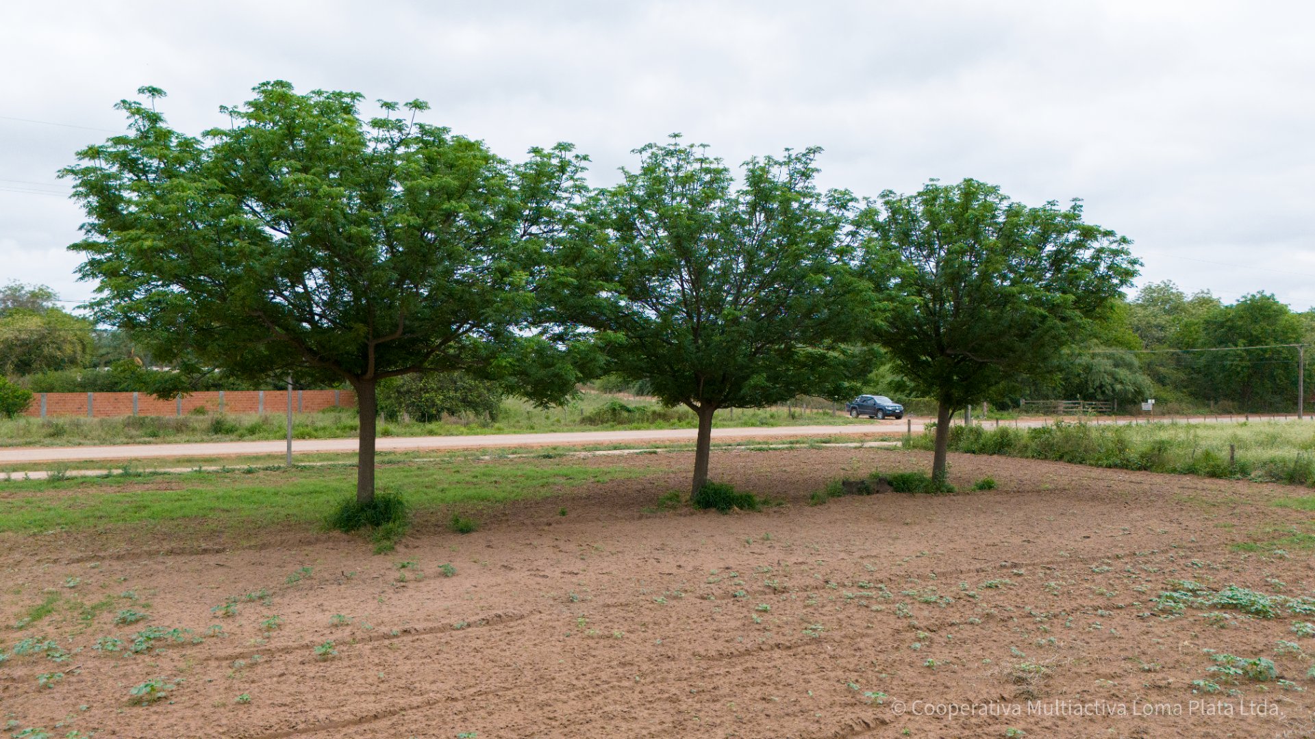 Lote en Bergfeld - 3