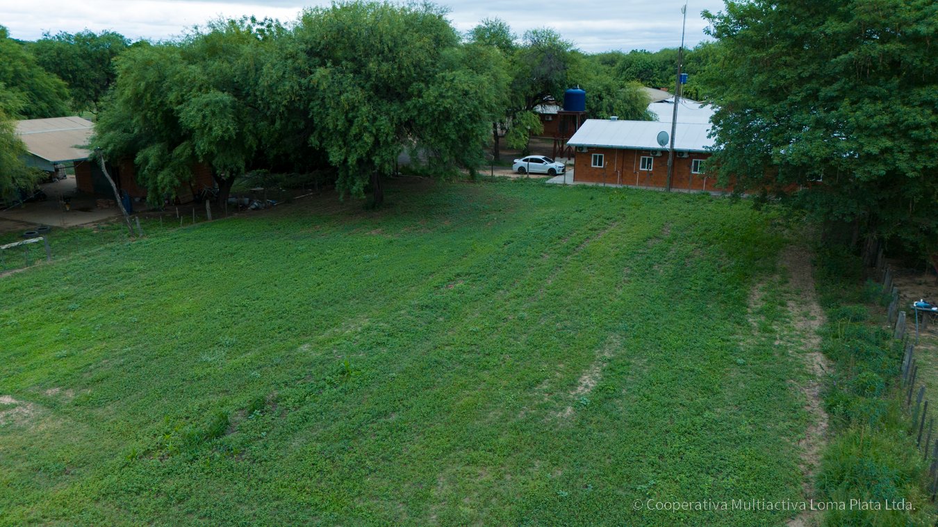 Lote en Loma Plata - 3