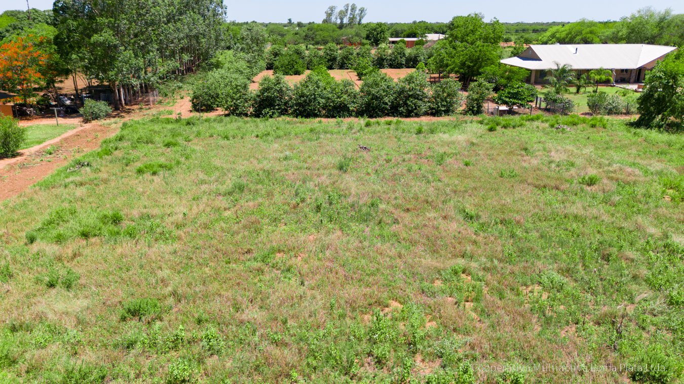 Lote en Kleefeld - 3