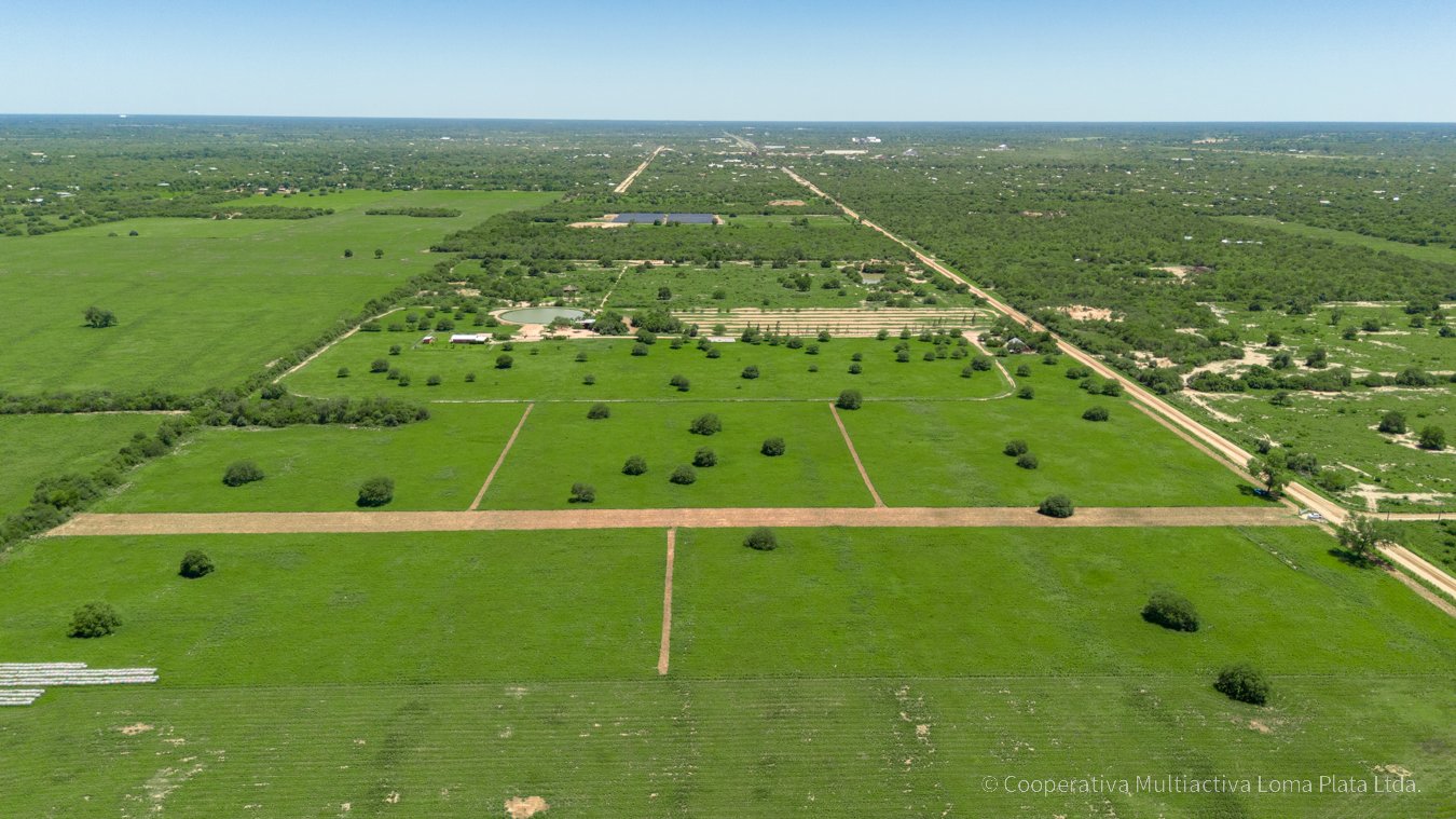 Lote en Filadelfia - 3