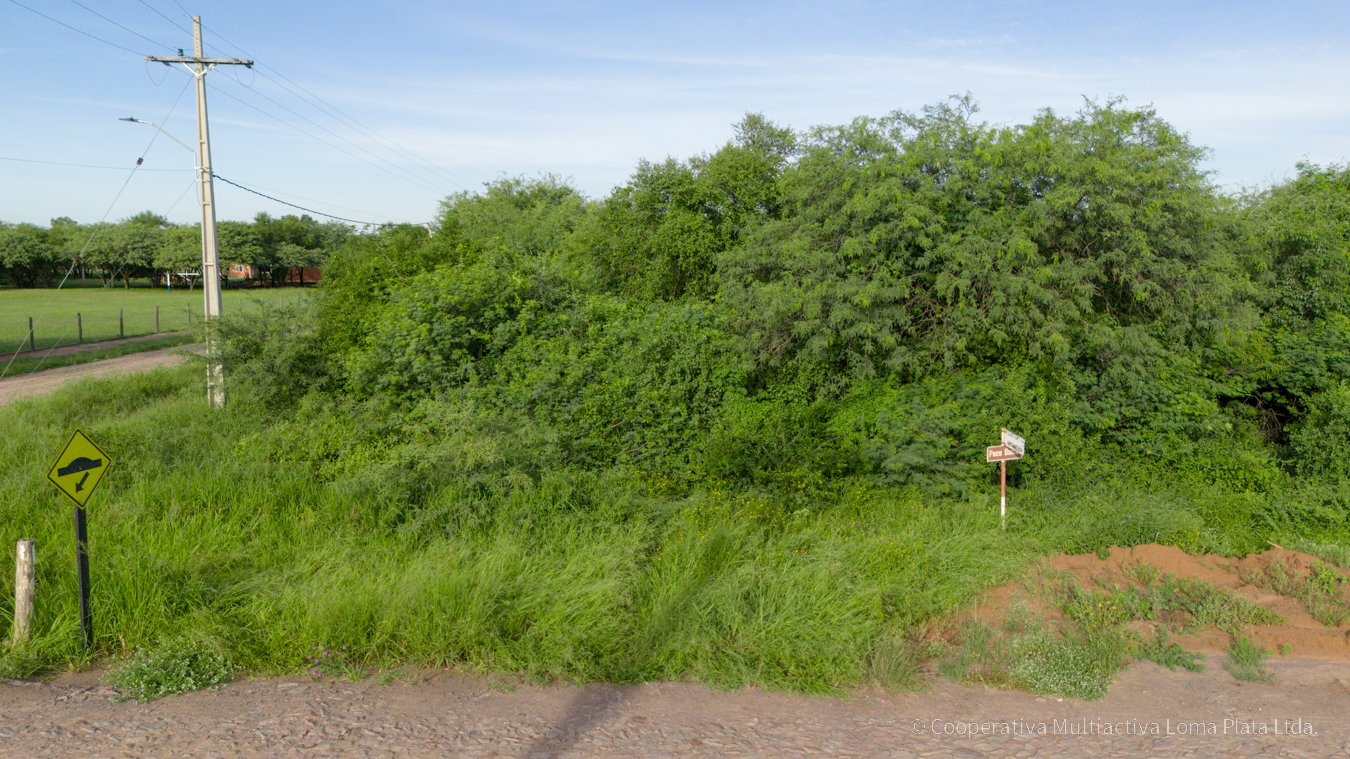 Lote en Loma Plata - 2