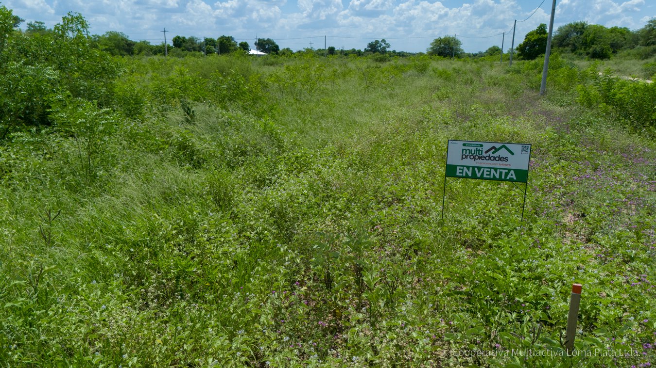 Lote en Loma Plata - 4