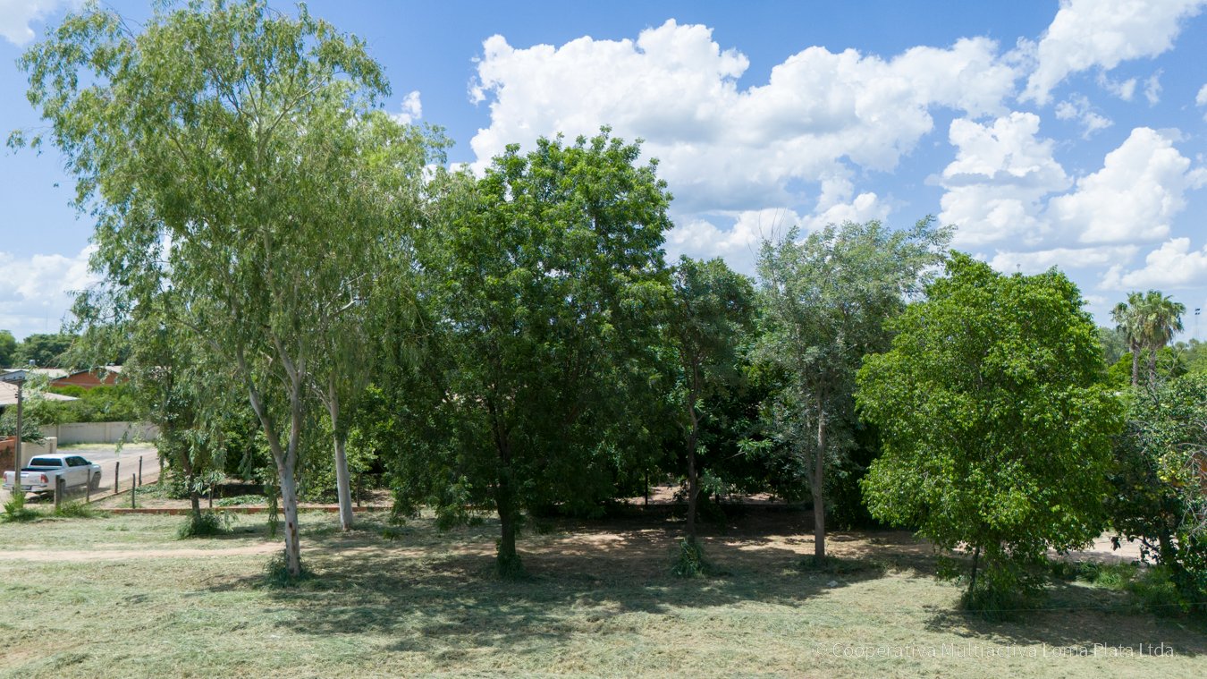 Terreno en Loma Plata - 3