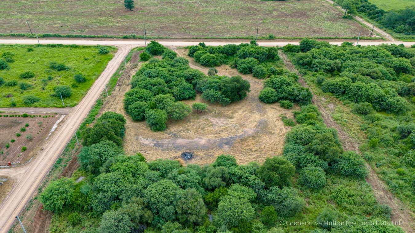 Lote en Kleefeld - 3