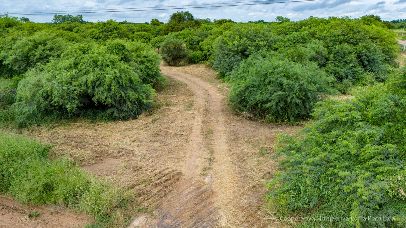 Lote en Kleefeld - 4