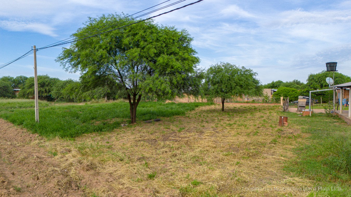 Lote en Filadelfia - 2