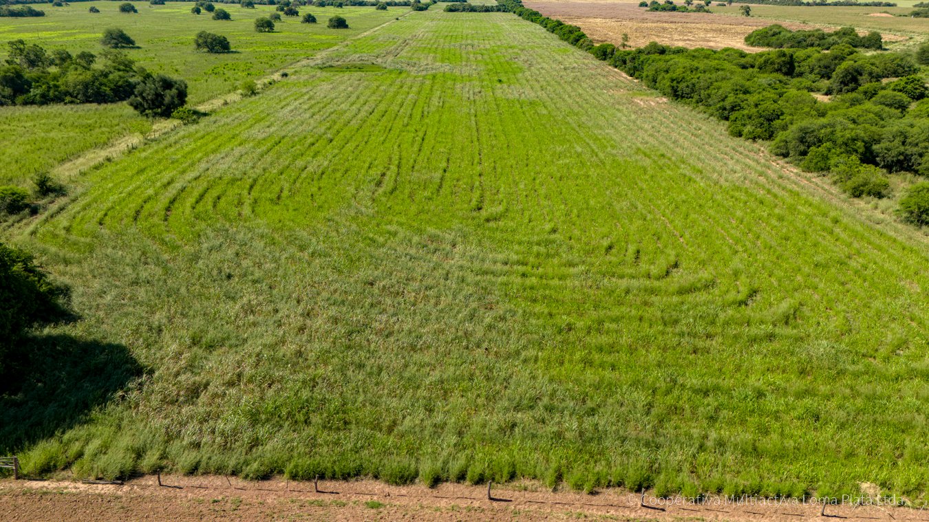 Terreno en Rosental - 3