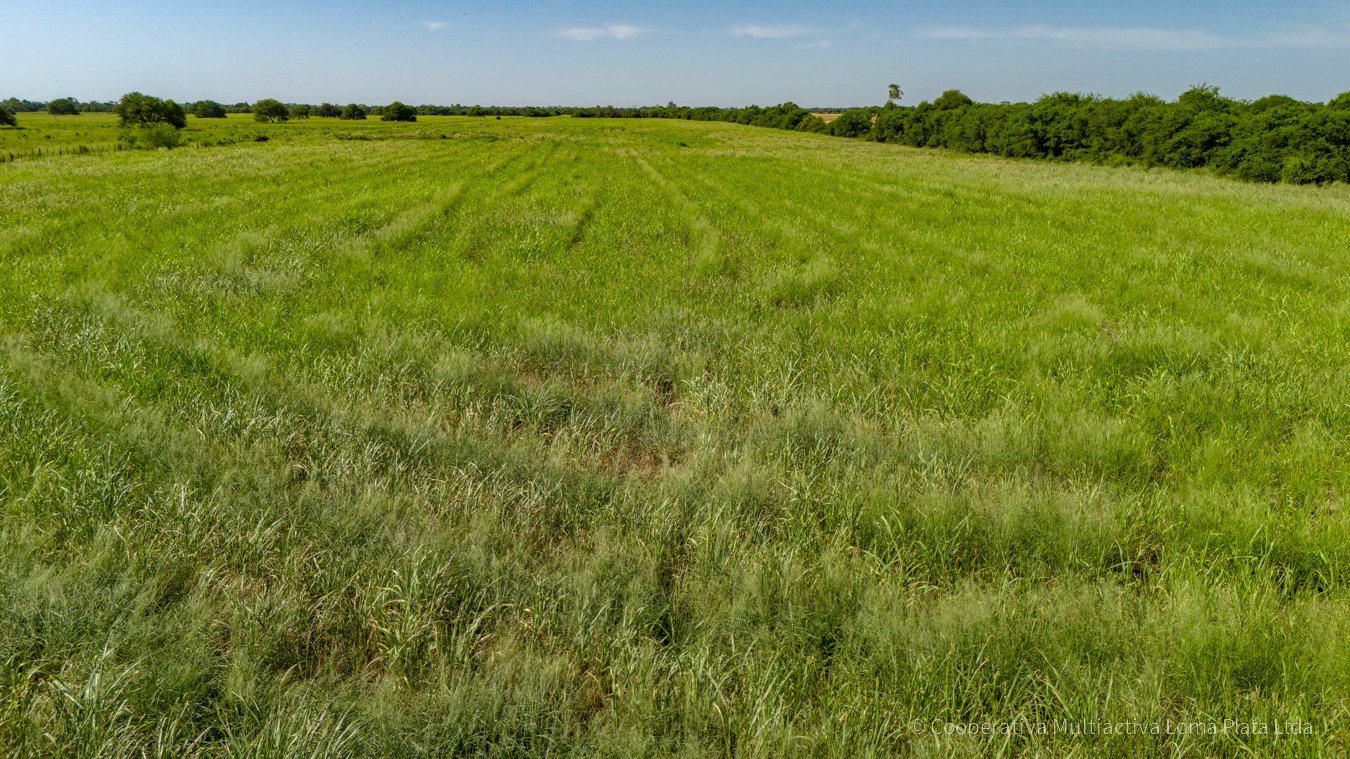 Terreno en Rosental - 4