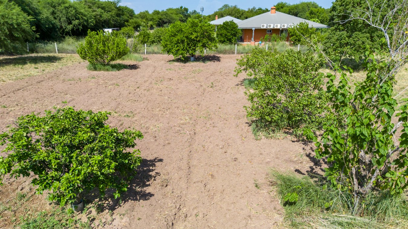 Lote en Loma Plata - 5