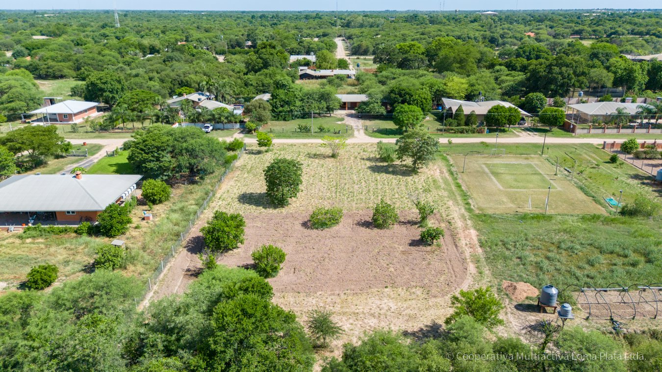 Lote en Loma Plata - 3