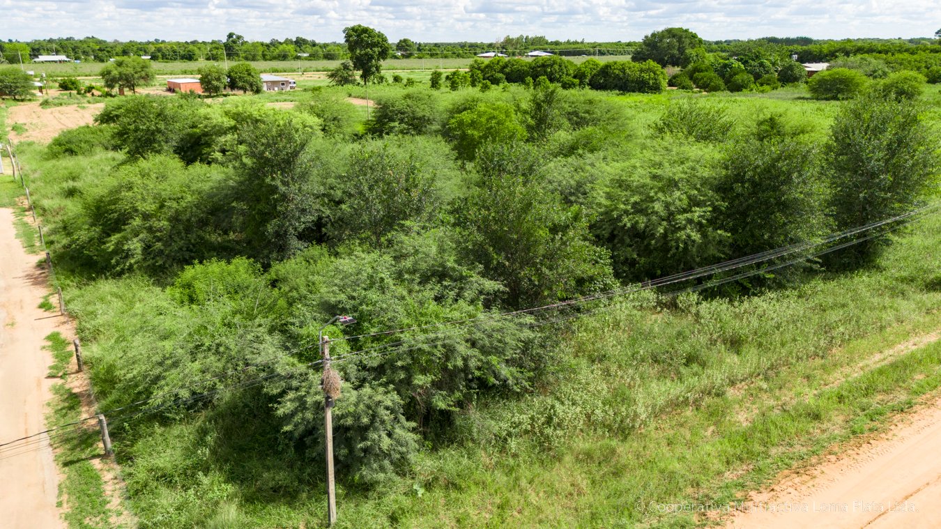 Lote en Osterwick - 4