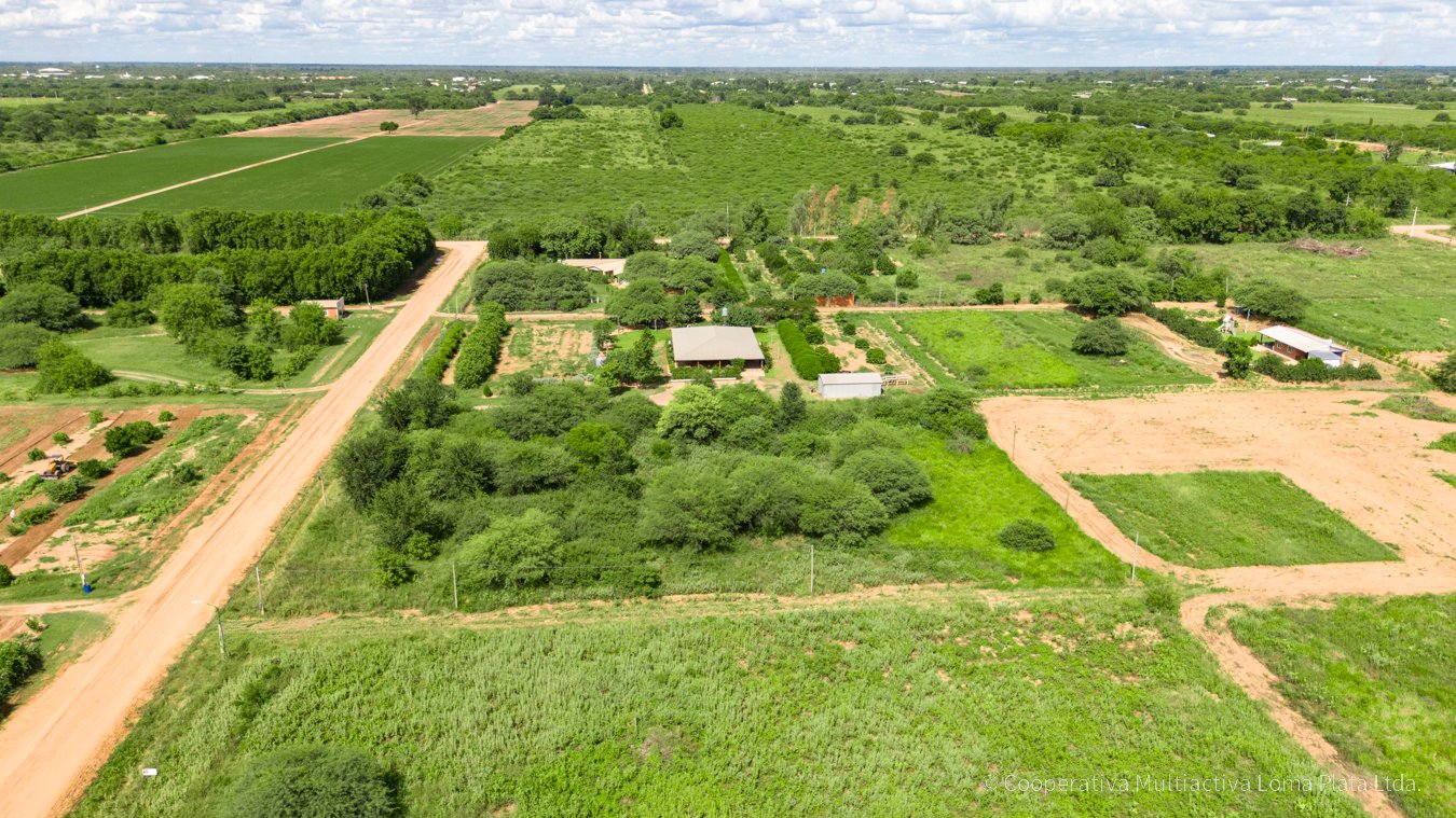 Lote en Osterwick - 3