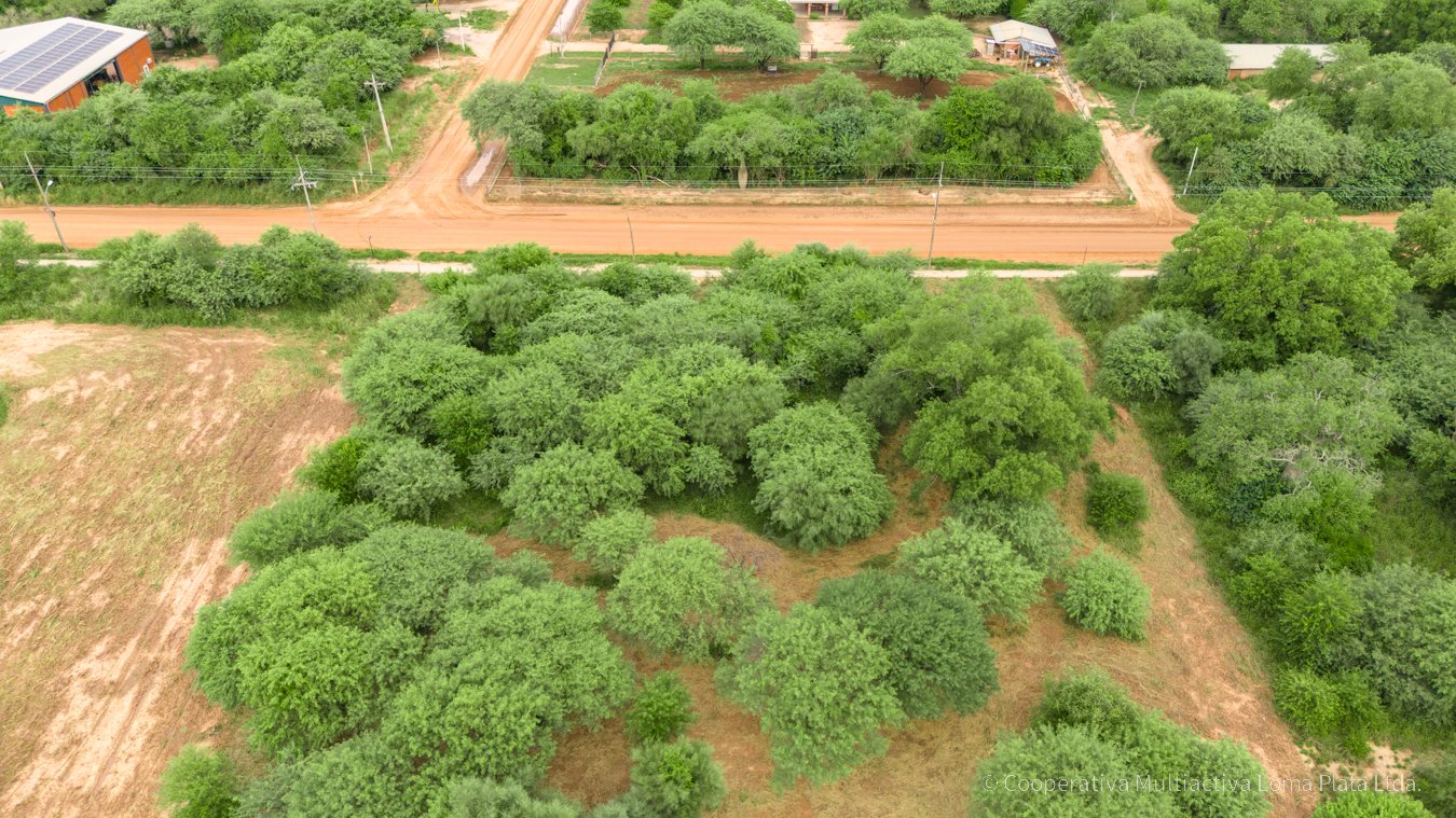 Lote en Kleefeld - 3