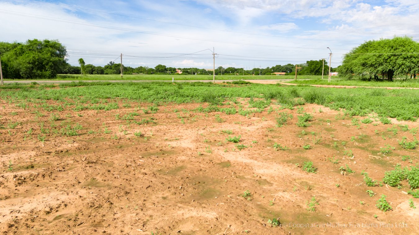 Lote en Bergfeld - 5