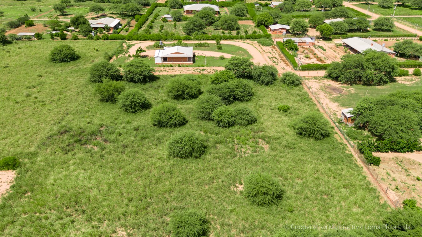 Lote en Kleefeld - 3