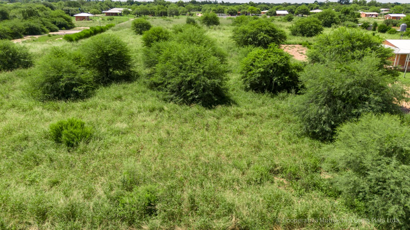 Lote en Kleefeld - 4