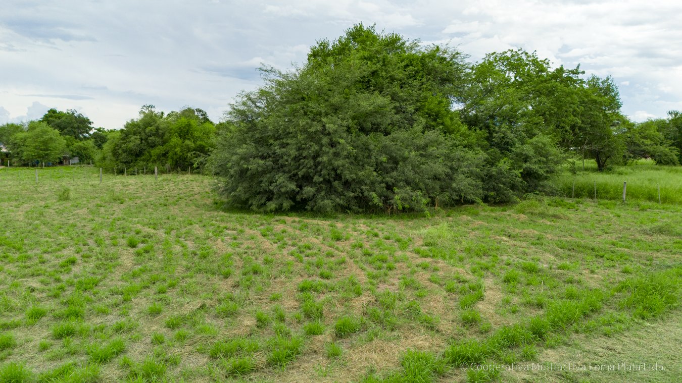 Lote en Loma Plata - 5
