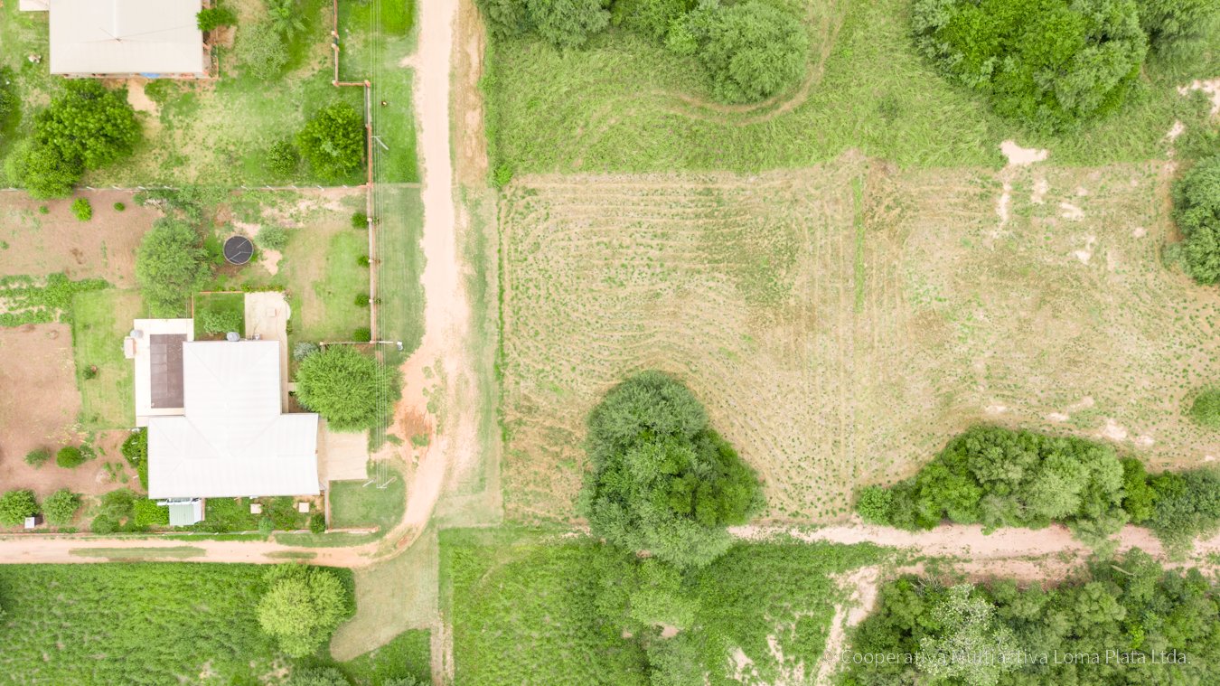 Lote en Loma Plata - 2