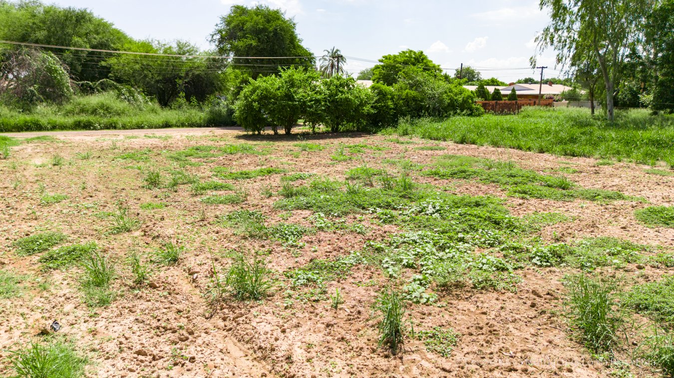 Lote en Loma Plata - 4