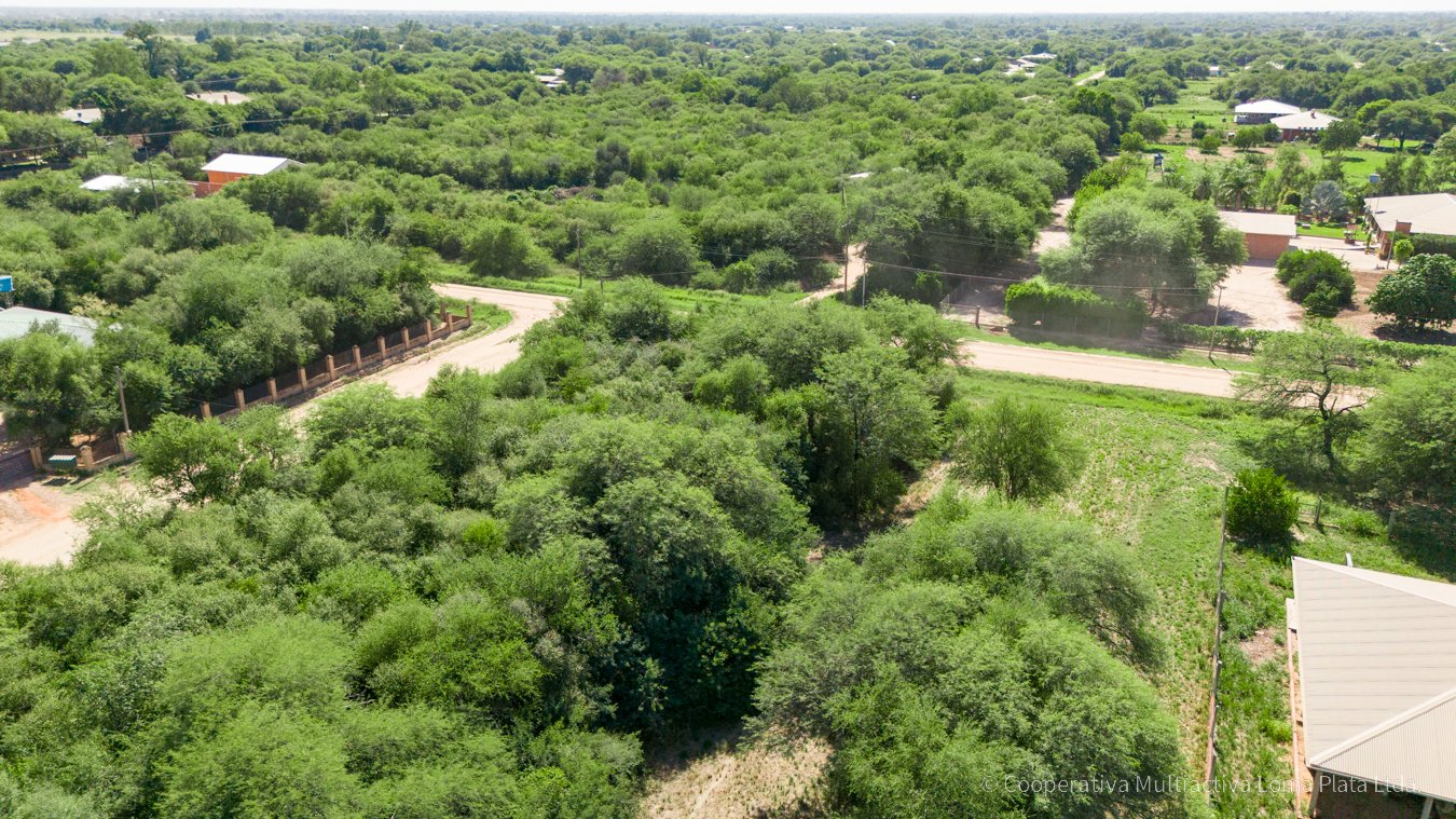 Lote en Loma Plata - 3