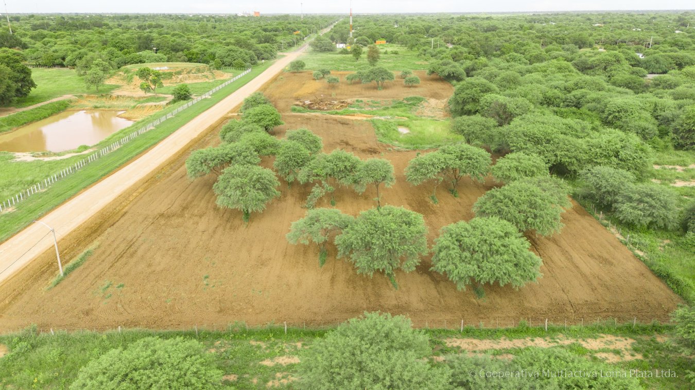 Lotes Comerciales en Bergfeld - 3