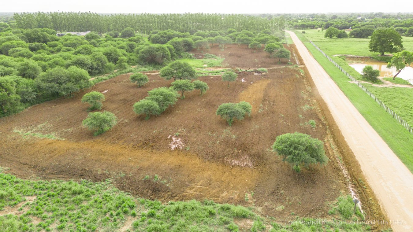 Lotes Comerciales en Bergfeld - 2