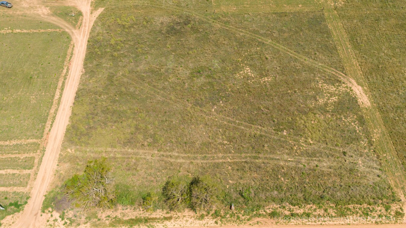 Lotes en Osterwick - 3