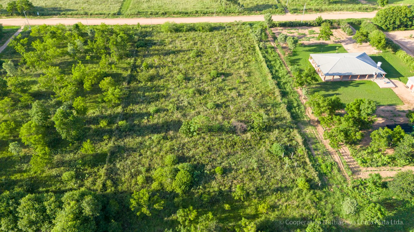 Lote en Osterwick - 3