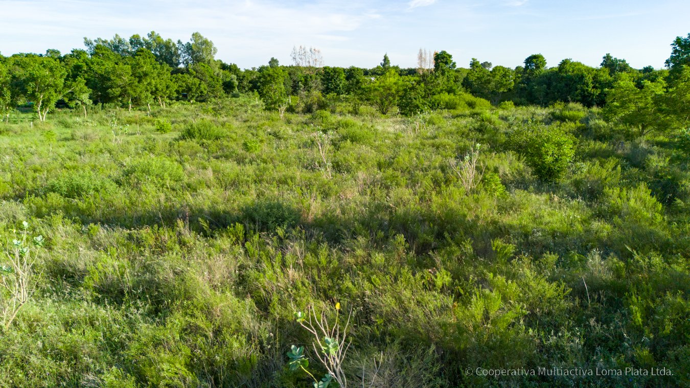 Lote en Osterwick - 4