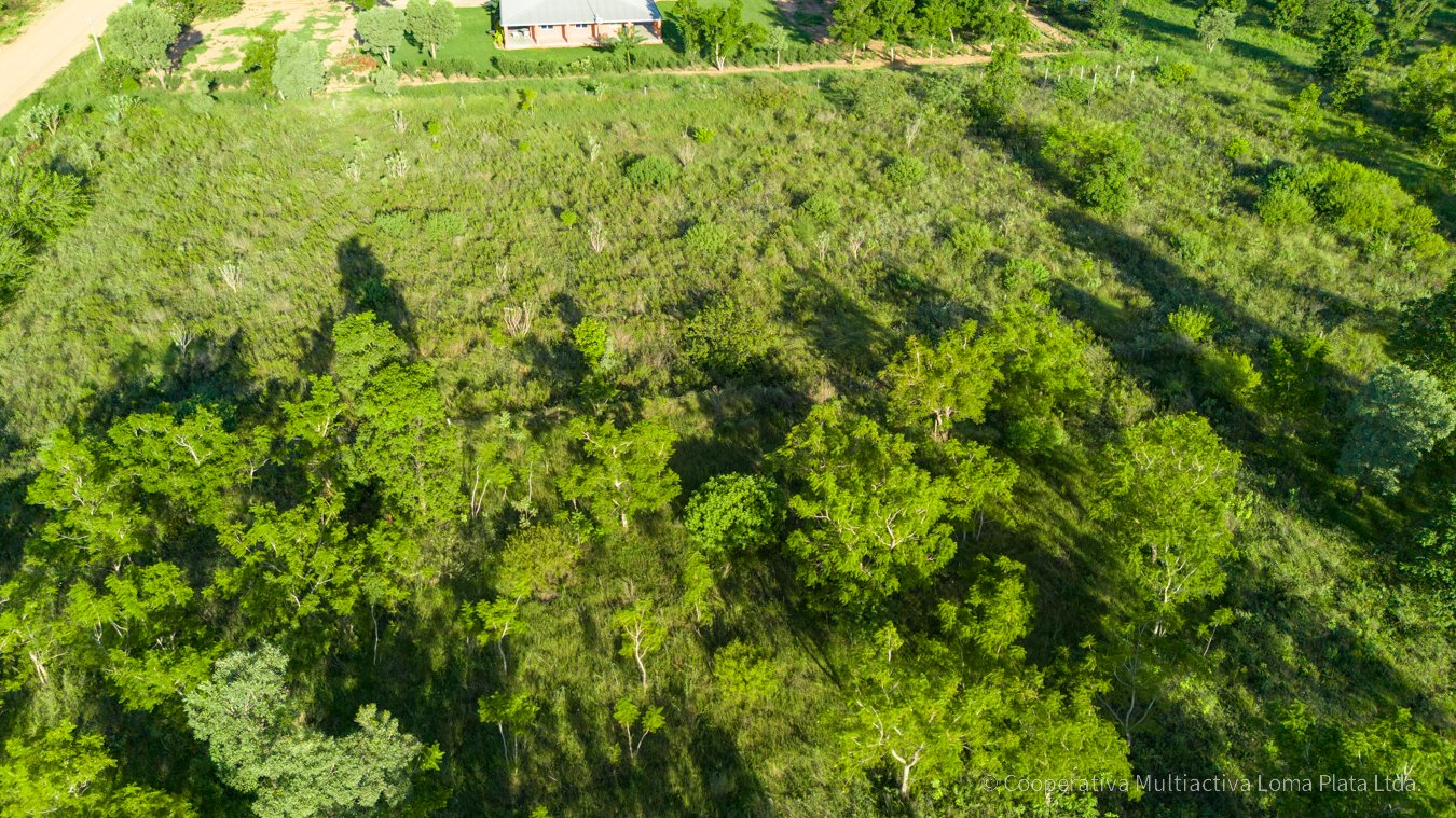 Lote en Osterwick - 5