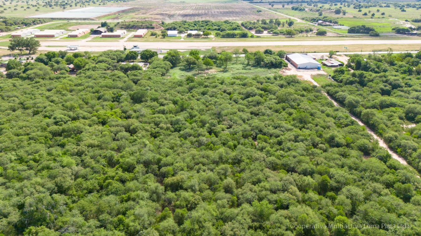 Lote en Loma Plata - 2