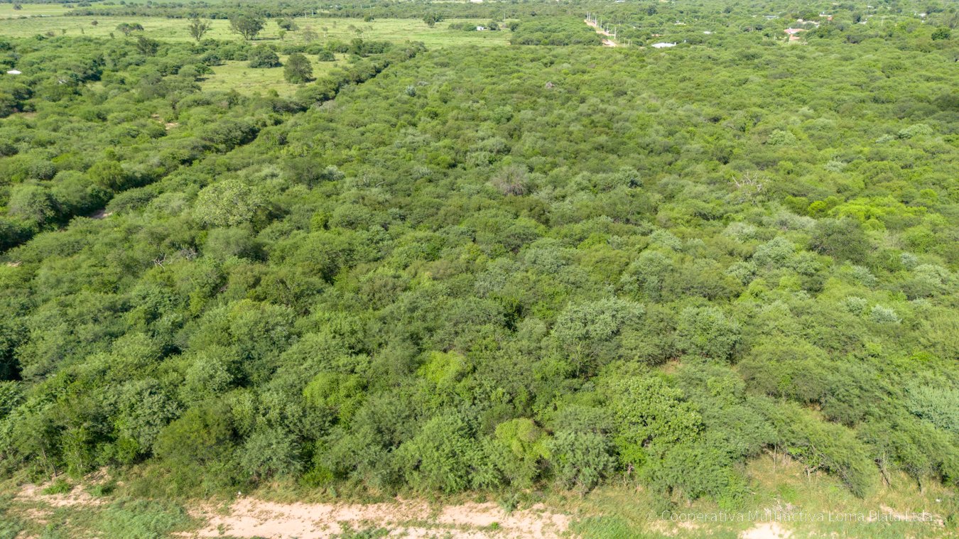 Lote en Loma Plata - 3