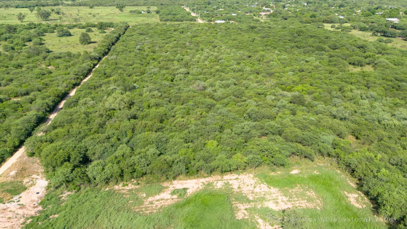 Lote en Loma Plata - 4