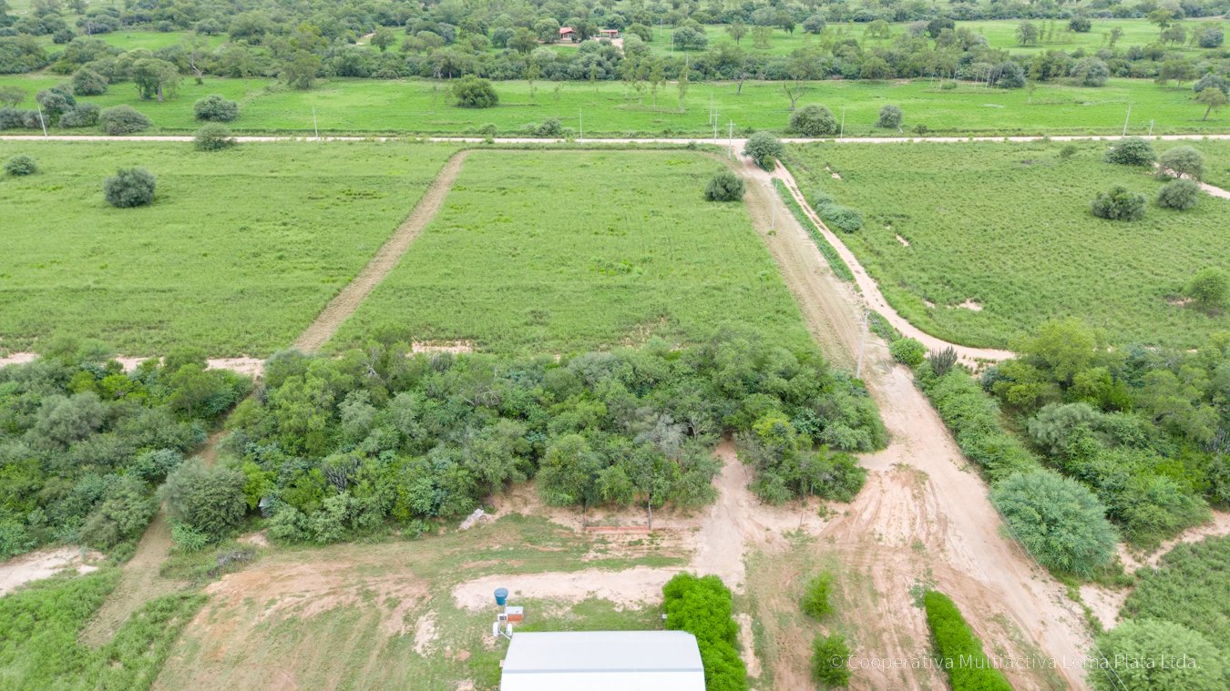 Casa Residencial en Filadelfia - 4