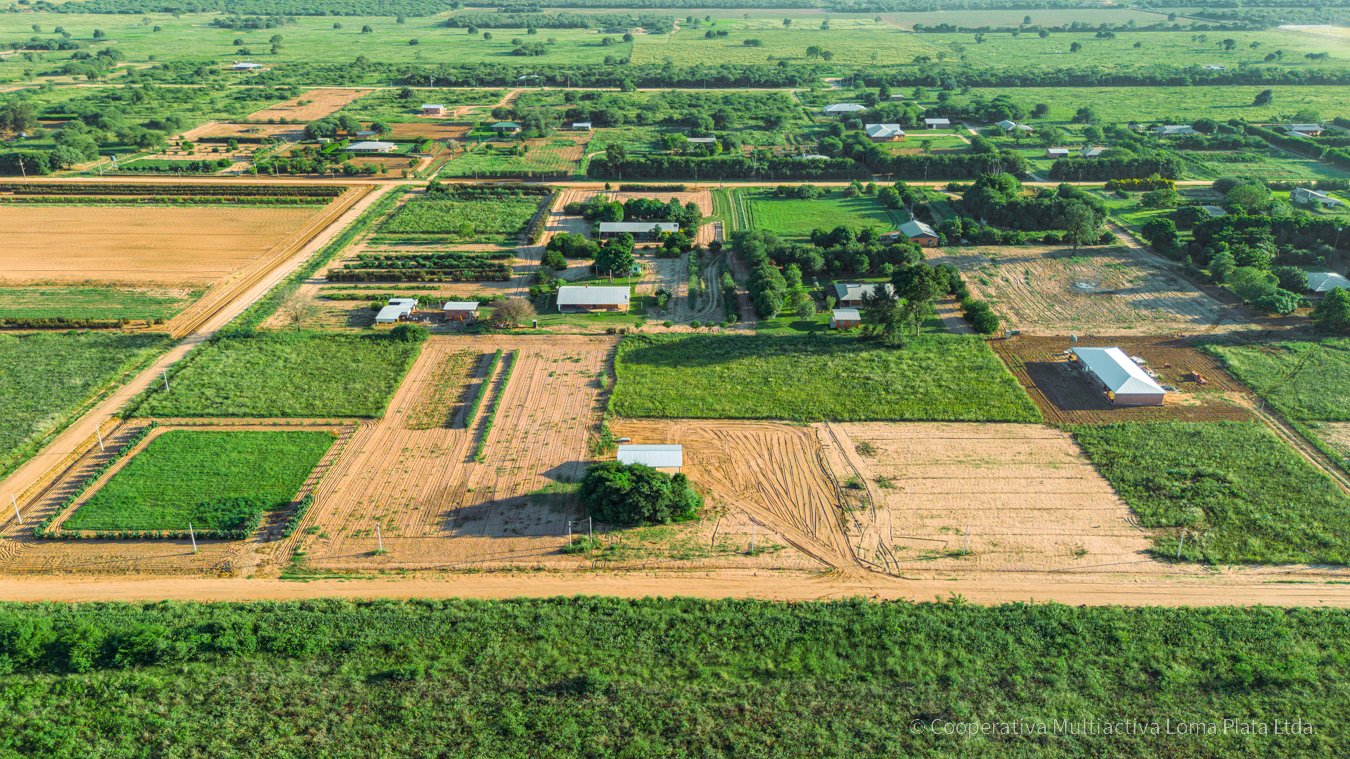 Casa Residencial en Osterwick - 5