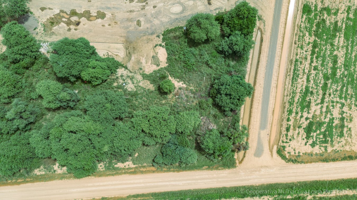 Lote en Bergfeld - 3