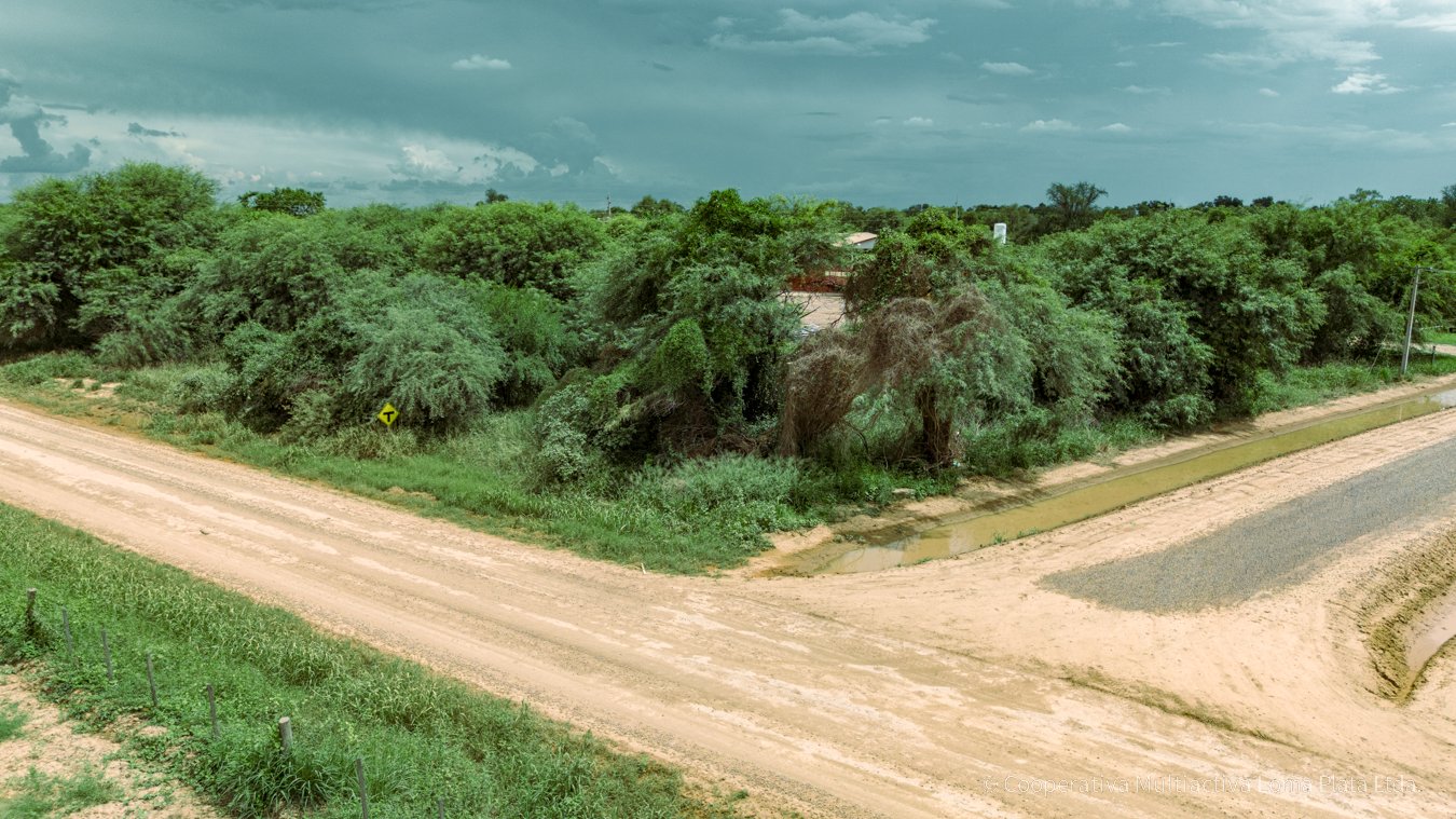 Lote en Bergfeld - 5